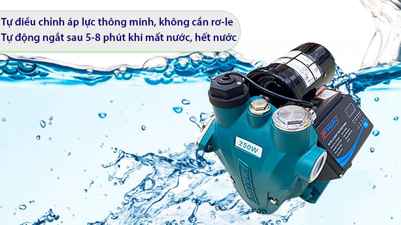 Máy bơm tăng áp Rymaru RY250F - Hàng chính hãng