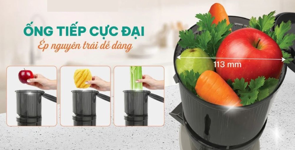 Máy ép chậm Livotec LSJ-B68S - Hàng chính hãng