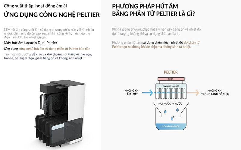 Máy hút ẩm kép Lacuzin LCZ100WT - Hàng chính hãng