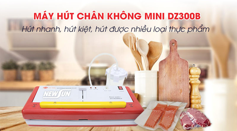 Máy hút chân không Newsun DZ300B - Hàng chính hãng
