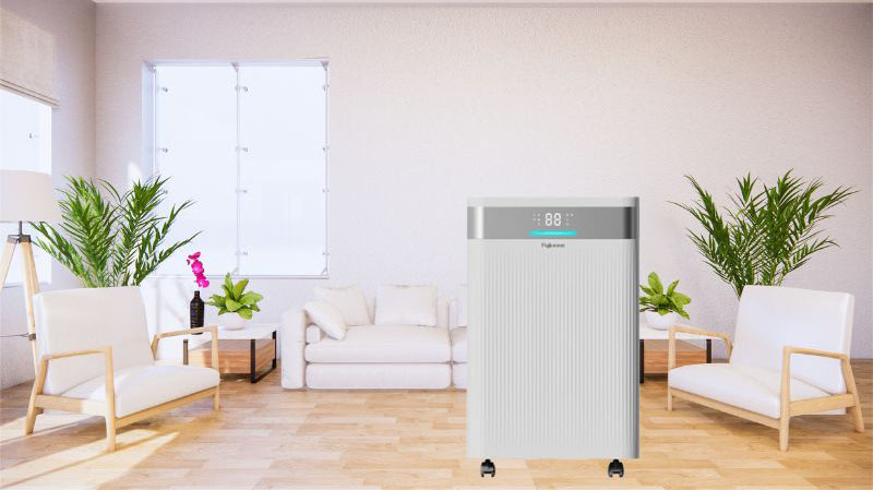 Máy hút ẩm Fujihome DH30NW - Hàng chính hãng