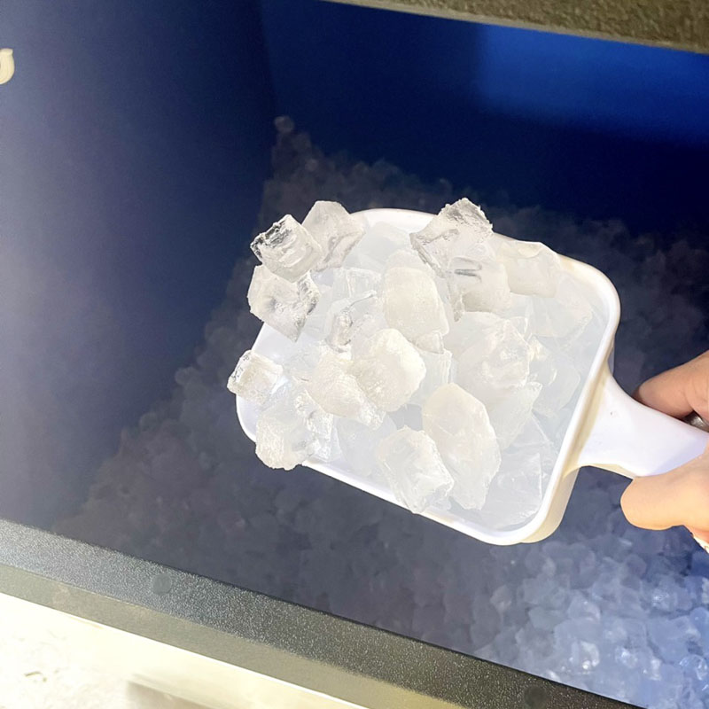 Máy làm đá viên 30kg Snow Village AP-30 - Hàng chính hãng