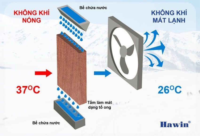 Máy làm mát không khí Hawin HSN55 - Hàng chính hãng