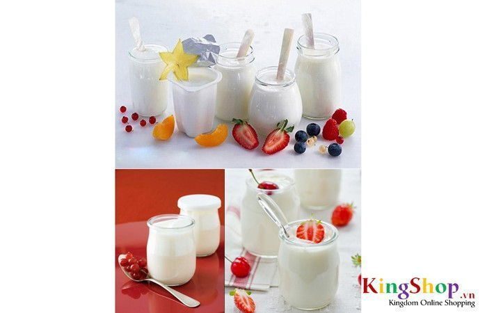 Máy làm sữa chua Fujika S17 - Hàng chính hãng