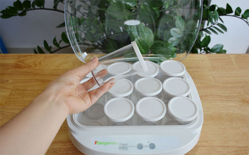 Máy làm sữa chua Kangaroo KG82 - Hàng chính hãng