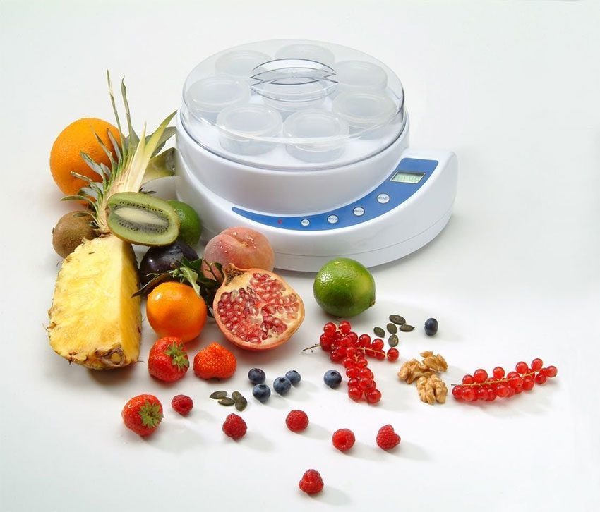 Máy làm sữa chua Steba JM1  - Hàng chính hãng