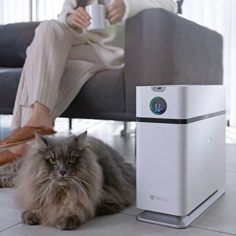Máy lọc không khí Airdog X1D - Hàng chính hãng