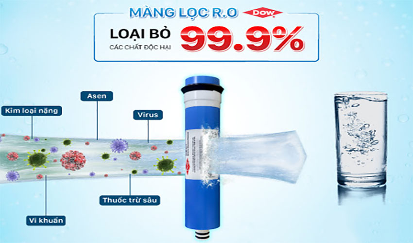 Máy lọc nước nóng lạnh Daikiosan DSW-40508C - Hàng chính hãng