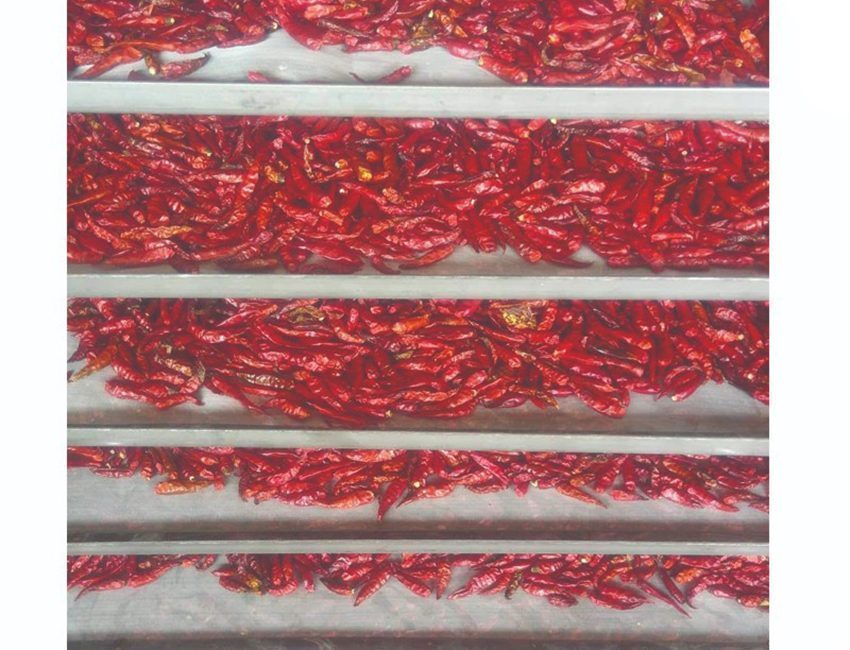 Máy sấy thực phẩm Ánh Dương AD Mini 2A - Hàng chính hãng