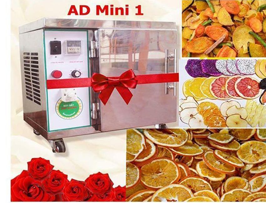 Máy sấy gia đình Ánh Dương AD Mini 1 – Inox - Hàng chính hãng