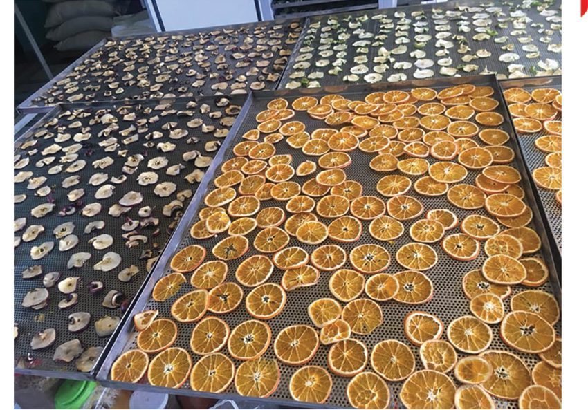 Máy sấy Ánh Dương nhiệt độ cao AD3H - Hàng chính hãng