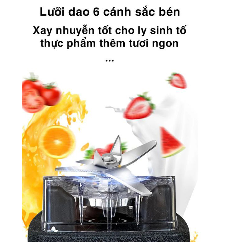 Máy xay sinh tố Raiden RD-620ST - Hàng chính hãng