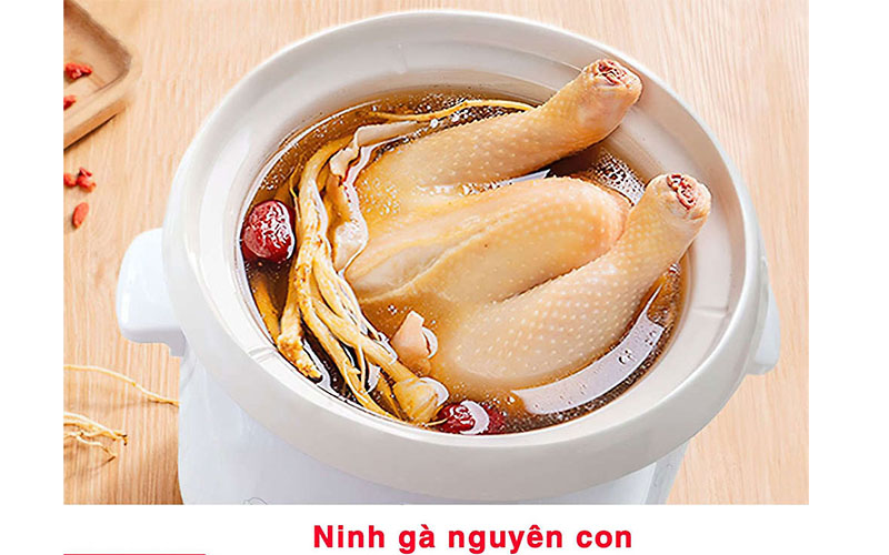 Nồi nấu chậm Bennix BN-40SLC - Hàng chính hãng