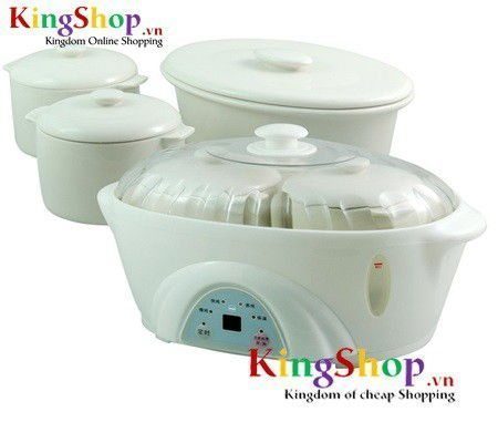 Nồi tiềm Homemax HMNT-JQD-16A - Thương hiệu Mã Lai - Hàng chính hãng
