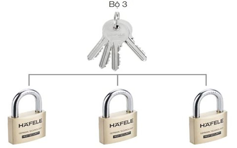 Ổ khóa 3 cái Hafele H76XW50XT18 482.01.975 - Hàng chính hãng