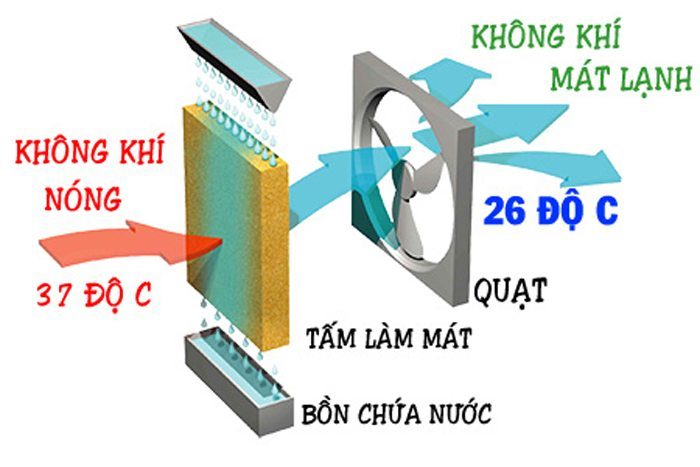 Máy làm mát Daichipro DCP-9000B - Hàng chính hãng