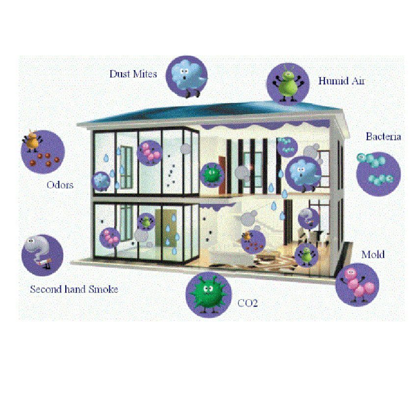 Quạt hút KDK 24CDF - Hàng chính hãng