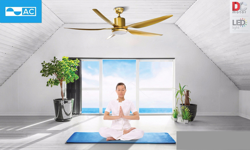 Quạt trần 5 cánh AC ACF03D665 - Hàng chính hãng