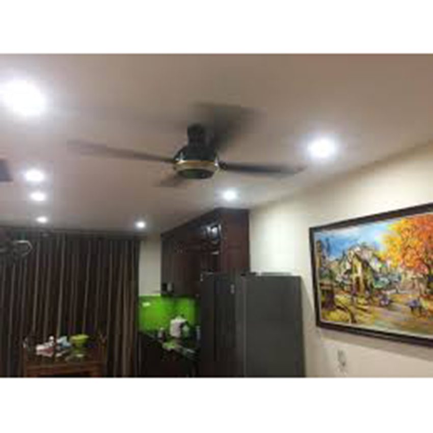 Quạt trần Panasonic F-56XPG - Hàng chính hãng