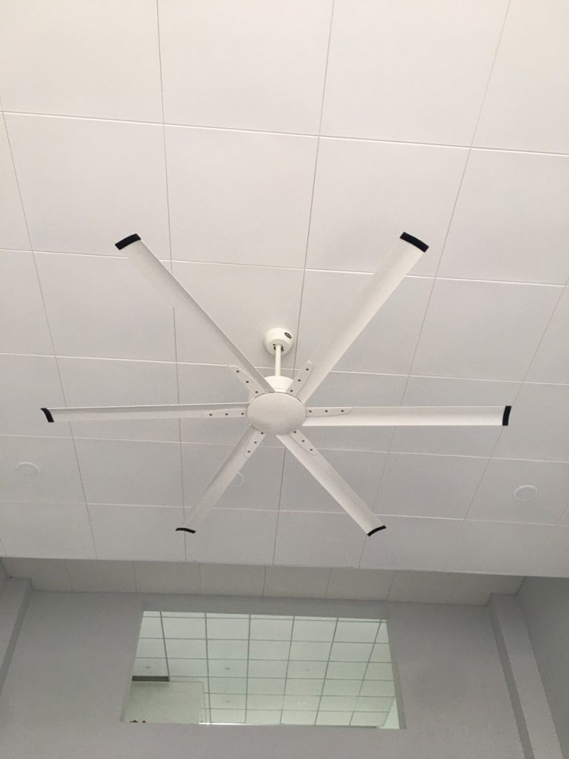 Quạt trần công nghiệp Mr.Vũ INDUSTRIAL - Hàng chính hãng