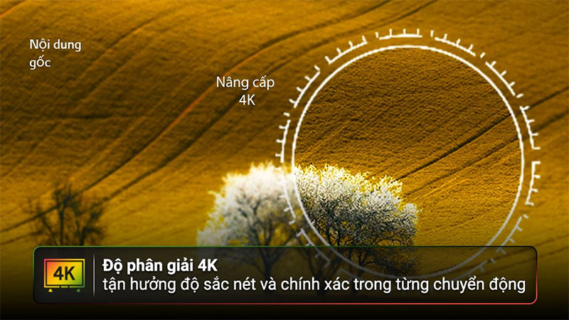 Smart tivi LG 4K 55 Inch 55UR8050PSB - Hàng chính hãng