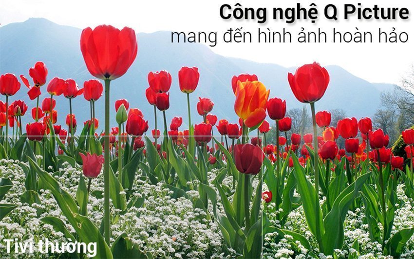 Smart Tivi QLED Samsung QA75Q9FN - Hàng chính hãng