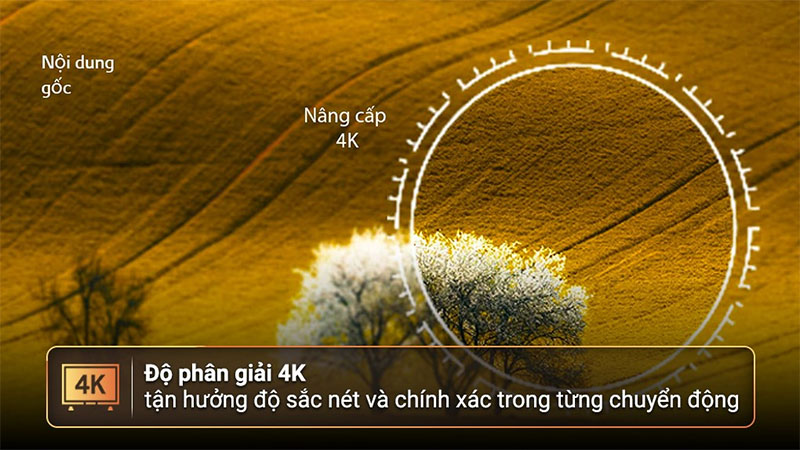 Smart Tivi QNED LG 4K 50 inch 50QNED75SRA - Hàng chính hãng