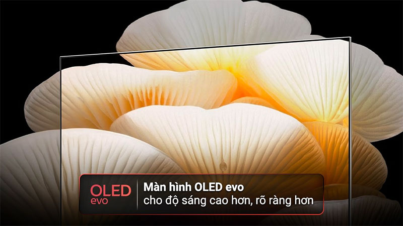 Smart tivi OLED Evo Posé LG 4K 55 inch 55LX1QPSA - Hàng chính hãng