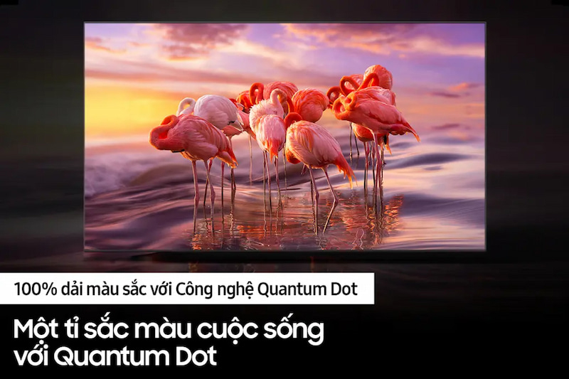 Smart tivi qled Samsung QA55Q60BAKXXV - Hàng chính hãng