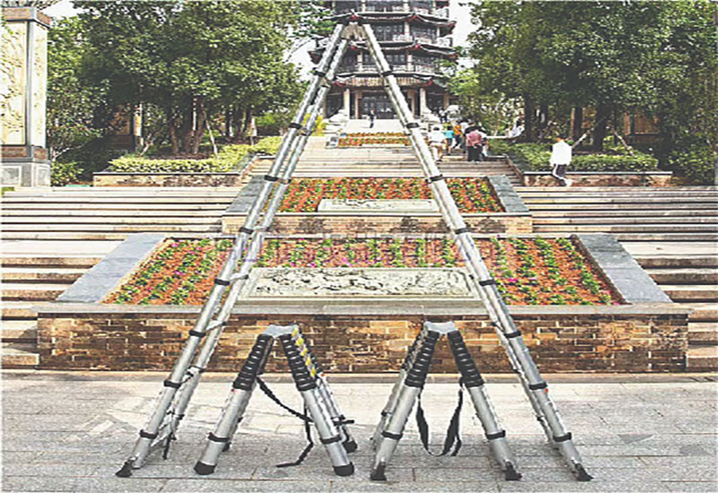 Thang nhôm rút đôi Nakata TY-637 - Hàng chính hãng