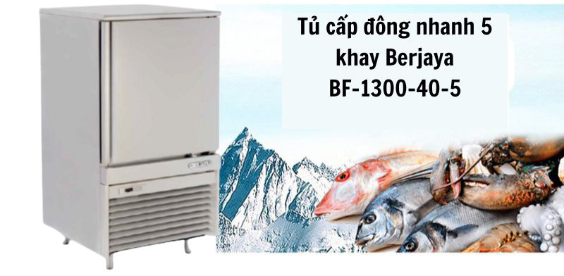 Tủ cấp đông nhanh 5 khay Berjaya BF-1300-40-5 - Hàng chính hãng