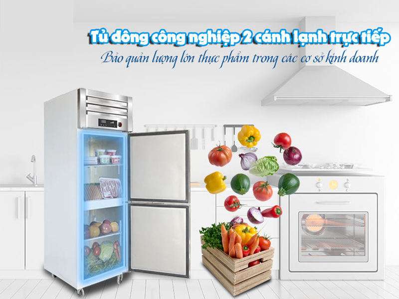 Tủ đông 2 cánh Fushima  FSM-TD2C - Hàng chính hãng