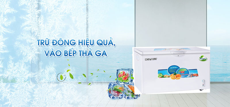 Tủ đông Hòa Phát HCF-516S1PĐ1 - Hàng chính hãng