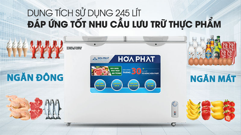 Tủ đông Hòa Phát HCF-606S2N2 - Hàng chính hãng