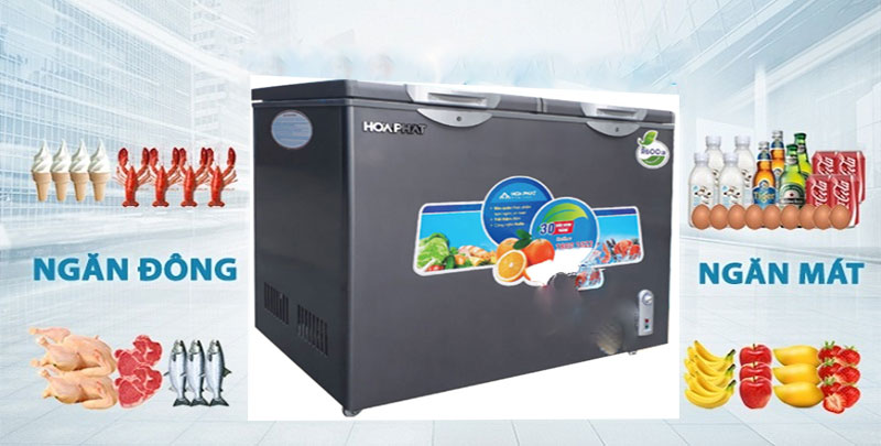 Tủ đông Hòa Phát HCF-506S2PĐSH - Hàng chính hãng