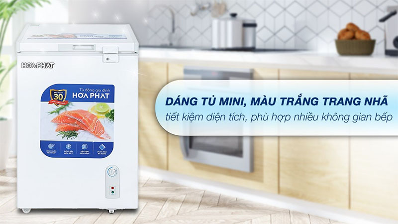 Tủ đông Hòa Phát HPF-AN6107 - Hàng chính hãng