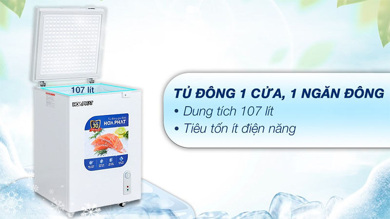 Tủ đông Hòa Phát HPF-AN6107 - Hàng chính hãng