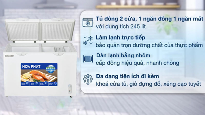 Tủ đông Hòa Phát HPF-BN6245 - Hàng chính hãng