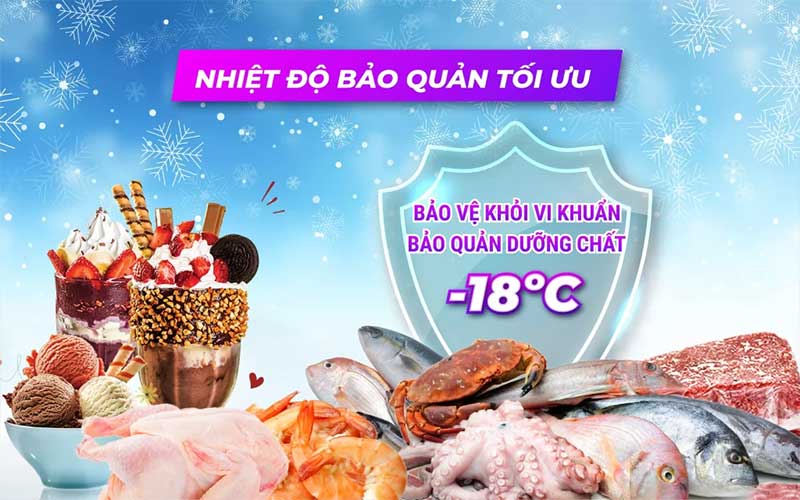 Tủ đông Sanaky VH-1099KA - Hàng chính hãng