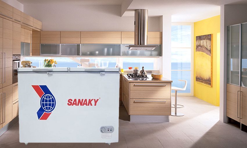 Tủ đông Sanaky VH285A2 - Hàng chính hãng