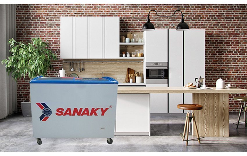 Tủ đông Sanaky VH-302KW - Hàng chính hãng