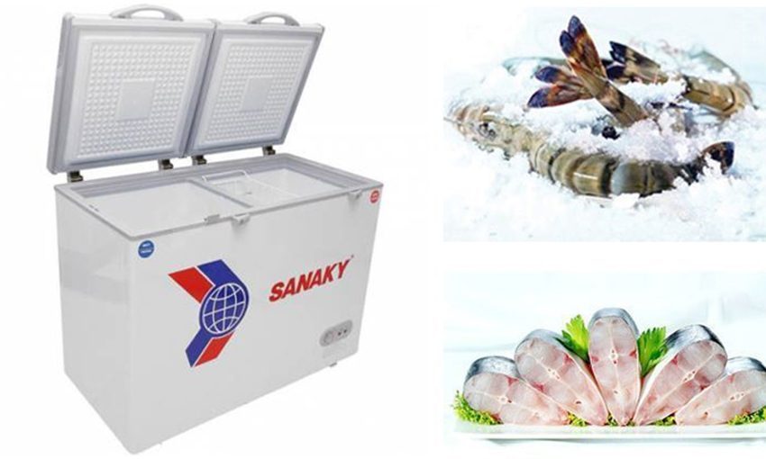 Tủ đông Sanaky VH-365W2 - Hàng chính hãng