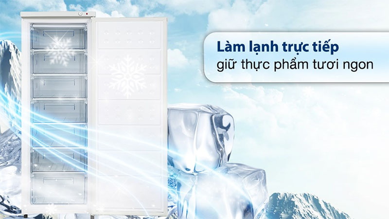 Tủ đông đứng Hòa Phát HPF-UAH6208 - Hàng chính hãng