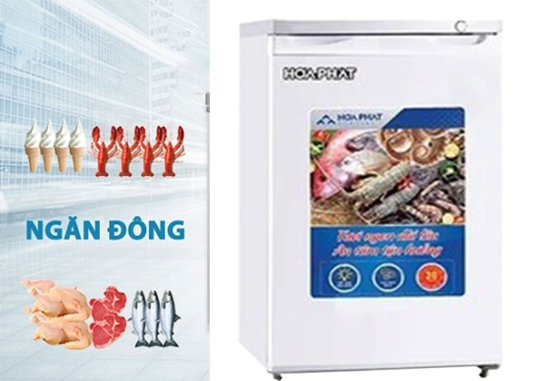 Tủ đông đứng Hòa Phát HUF-300PR1 - Hàng chính hãng
