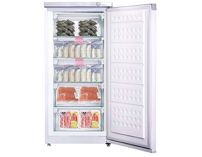 Tủ đông đứng Hòa Phát HUF-350PR1 - Hàng chính hãng