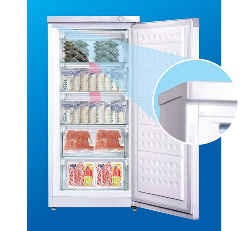 Tủ đông đứng Hòa Phát HUF-350SR1 - Hàng chính hãng
