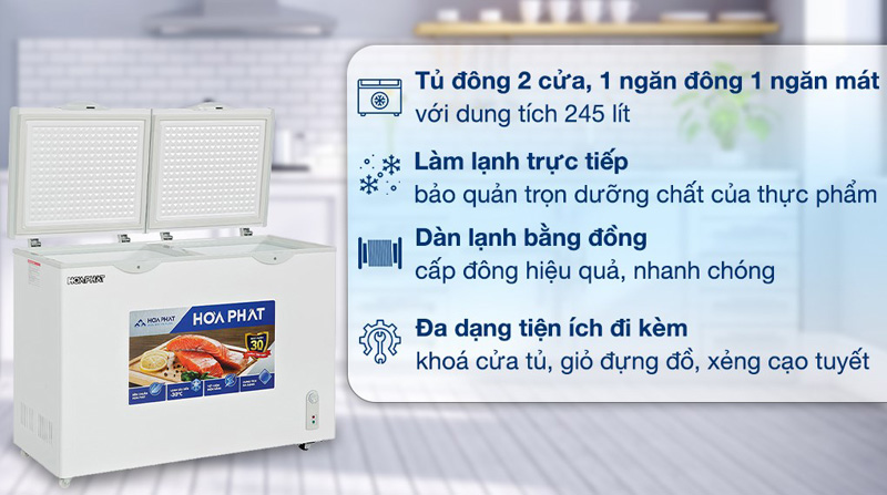 Tủ đông Hòa Phát HPF BD6245 - Hàng chính hãng