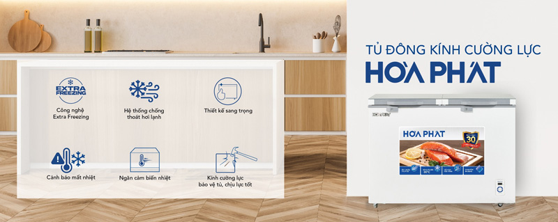 Tủ đông Hòa Phát HPF BD6245 - Hàng chính hãng