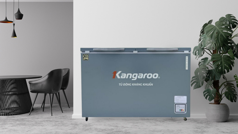 Tủ đông kháng khuẩn 327 lít KGFZ389NK2 - Hàng chính hãng