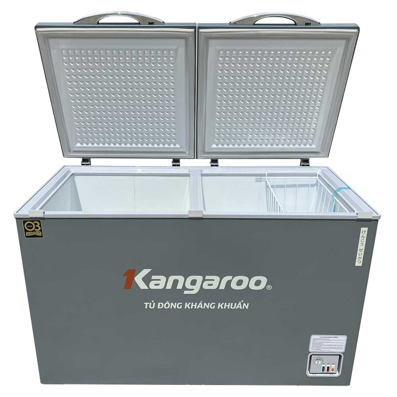 Tủ đông kháng khuẩn 327 lít KGFZ389NK2 - Hàng chính hãng